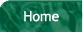 home button